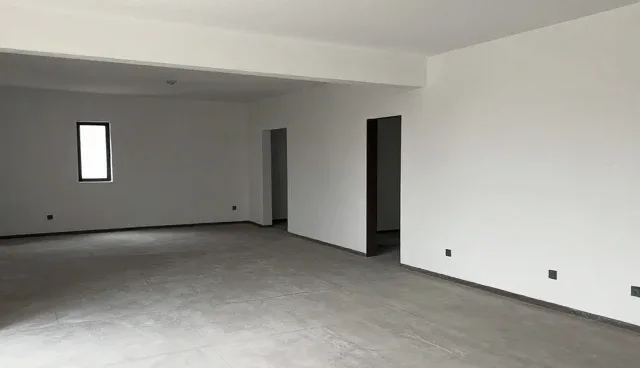 项目管理中的性能差异如何影响定制化解决方案适用性